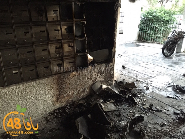 fire in bikes (3).jpg